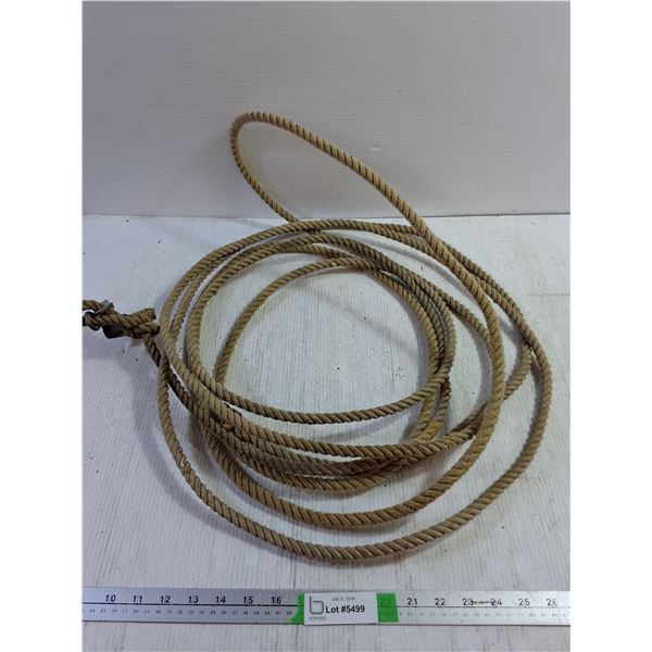 Breakaway Lariat Approximately 11 feet