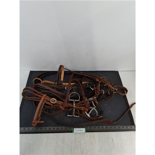 (2) Head Stalls, Bit, Noseband