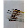 Image 2 : (5) 28" Arrows & Quiver