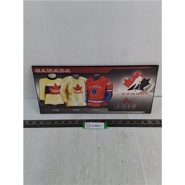MDF Molson Canadian Hockey Canada Jersey Evolution Wall Decor - 16" x 7.5"
