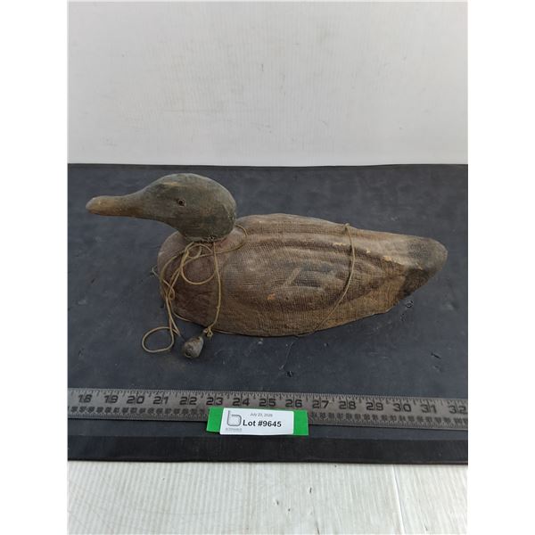 Duck Decoy