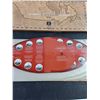 Image 4 : 1999 Canadian Millennium Coin Collection, Cannot Authenticate