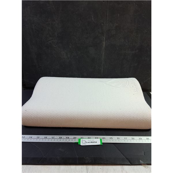 Aloe Vera Cervical Pillow