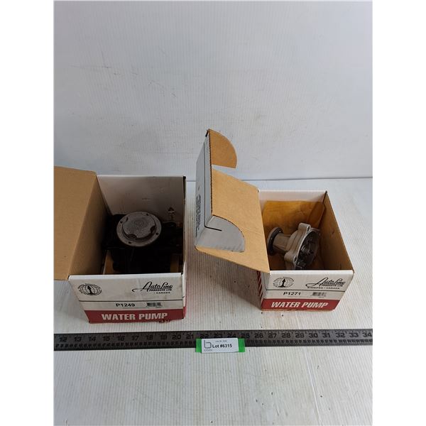 (2) Auto Line Water Pumps - Appear Unused