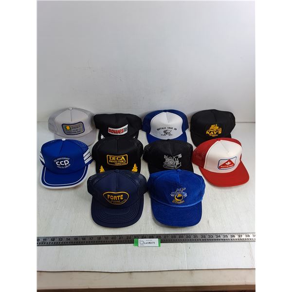 (10) Assorted Adult Ball Caps