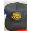 Image 3 : (10) Assorted Adult Ball Caps