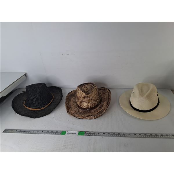 (3) Western Style Hats