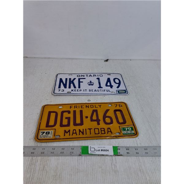 (2) License Plates