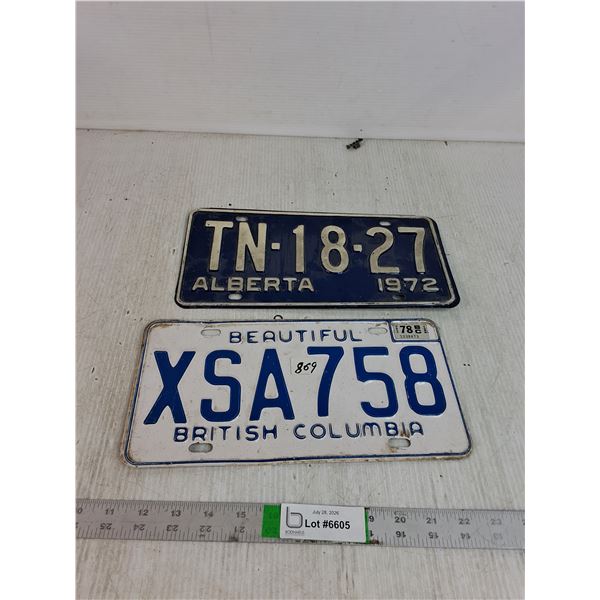 (2) License Plates