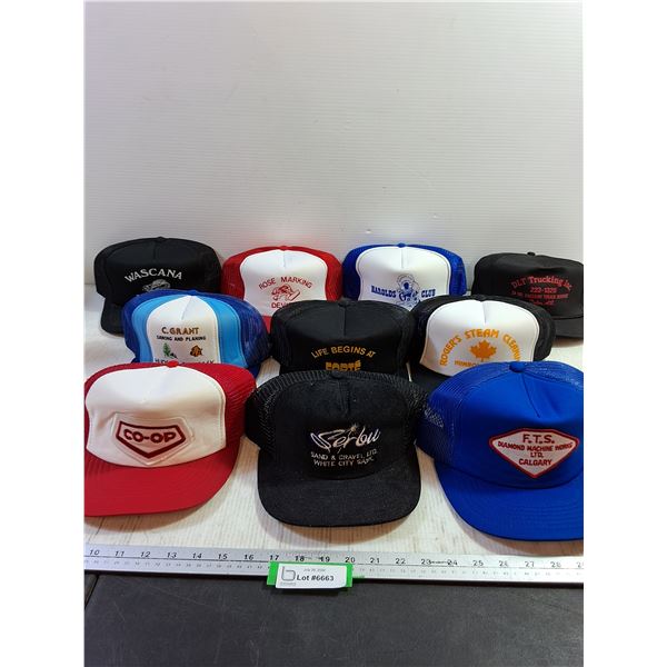 Assorted Trucker Hats (10)