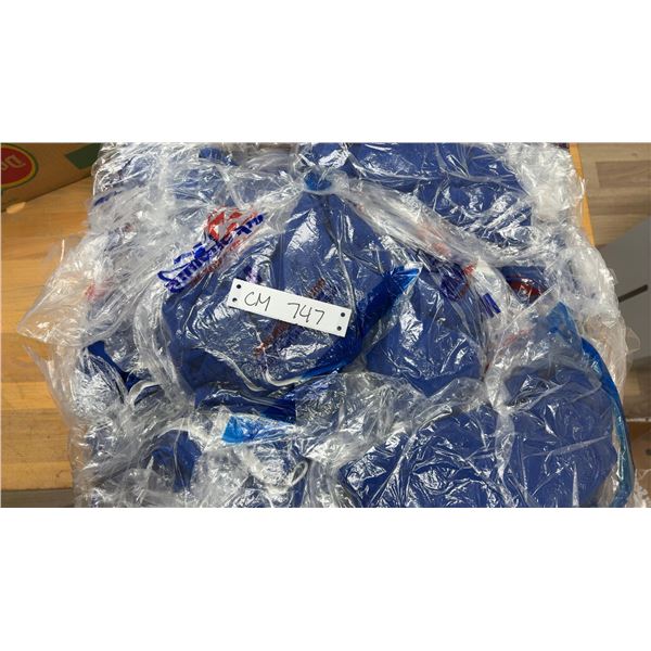 42 Medium Men's Blue Shorts - New in Bag