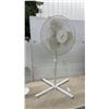 Image 3 : Pelonis FS40-8M Oscillating Stand Fan and Three-Speed Oscillating Table Fan