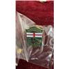 Image 6 : Collection of 100 and More Vintage Lapel Pins Including Roadeo '91, Canadian Provincial