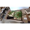 Image 2 : Vintage Handcrafted Latch Hook Rug or Wall Hanging, Window Scene with Potted Plants