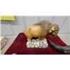 Image 2 : Vintage Aluminum Canteen, Buffalo Figurine, Horn, and More