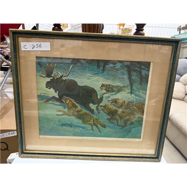 The Wild Dogs by Clarence Tillenius Framed Manitoba Centennial Print, 1870-1970