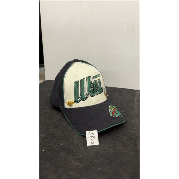 Never Worn Minnesota Wild Hat with 2 Pins