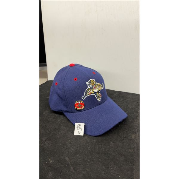 Never Work Florida Panthers Hat With Pin