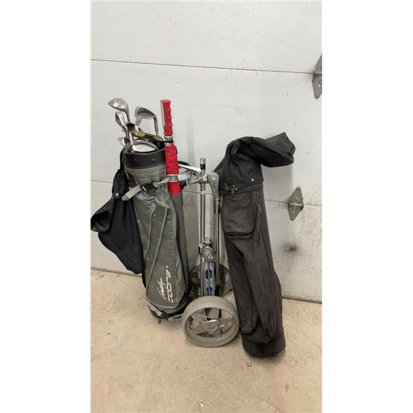 Lady Cobra Golf Bag, Golf Clubs, & Ideal Reel Golf Cart