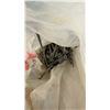 Image 7 : Box of Nails, Paslode ProStrip Collated Framing Nails and More