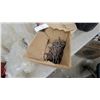 Image 2 : Box of Stelco Nails Screws and Stofage Tote