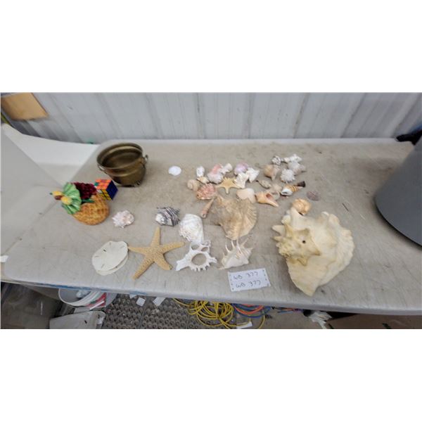 Assorted Seashell Collection With Starfish, Sand Dollar, Brass Pot, Rubik's Cube, and More