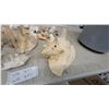 Image 3 : Assorted Seashell Collection With Starfish, Sand Dollar, Brass Pot, Rubik's Cube, and More