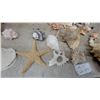 Image 4 : Assorted Seashell Collection With Starfish, Sand Dollar, Brass Pot, Rubik's Cube, and More