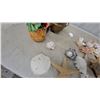 Image 5 : Assorted Seashell Collection With Starfish, Sand Dollar, Brass Pot, Rubik's Cube, and More