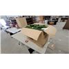 Image 1 : Artificial Christmas Tree in Cardboard Box I Think