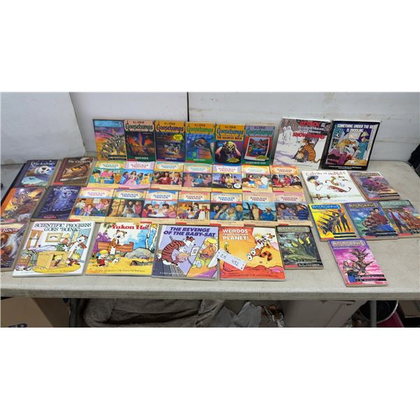 Assorted Children's Books: Goosebumps, Calvin & Hobbes, Animorphs, Sleepover Friends, & More