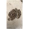 Image 9 : Load Binders, Transport Chains With Hooks and More