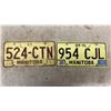 Image 4 : Ten Manitoba License Plates: 1971-1997