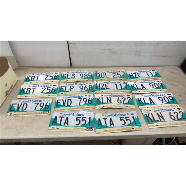 Friendly Manitoba License Plates, 15