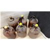 Image 9 : Six Vintage Amber Glass Purex / Bleach Gallon Jugs With Handles, Late 1920s to 1940s