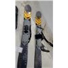 Image 3 : Firefly RPX 89 Skiboards with Strap Bindings and Hurley Snowboard Bindings