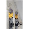 Image 4 : Firefly RPX 89 Skiboards with Strap Bindings and Hurley Snowboard Bindings