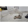 Image 4 : Black Beauty Collectible Horse Figurines, Black Rearing and White Rearing, with Certificate
