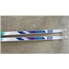Image 4 : Elan 500 Cross-Country Skis with No-Wax Base, Step-In Bindings, and Ski Poles