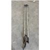 Image 6 : Elan 500 Cross-Country Skis with No-Wax Base, Step-In Bindings, and Ski Poles