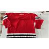 Image 5 : Vintage KOHO Chicago Blackhawks Men's Large Hockey Jersey and Denis Savard Bobblehead