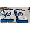 Image 20 : Winnipeg Jets Lot: Byfuglien Child's Jersey, Men's L and XL Hoodies, Hats, 2x Small Reebok Jersey