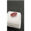 Image 4 : New 12.0 Carat Natural Untreated Ruby, Oval Cut, 11.9mm X 15.8mm, Retail $2880.00