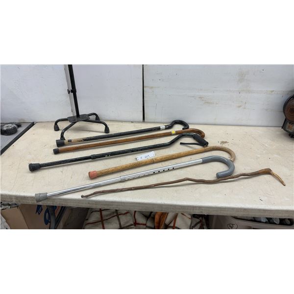 Assortment of Walking Canes and Sticks Including Wood, Aluminum, and Adjustable Styles