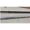 Image 4 : Assortment of Walking Canes and Sticks Including Wood, Aluminum, and Adjustable Styles