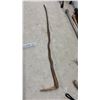 Image 5 : Assortment of Walking Canes and Sticks Including Wood, Aluminum, and Adjustable Styles