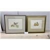 Image 1 : Two Framed Pictures Chickadee on Oak Branch and Ducklings, By J. Carson Signed, 20 x 22"