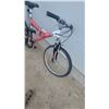 Image 3 : SuperCycle XTI-21DS Full-Suspension Mountain Bike, 26" Wheels, Shimano 21-Speed EZ-Fire