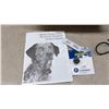 Image 5 : PetSafe Radio Fence Plus Remote Trainer Pet Containment System with Collar, Wire and More