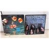 Image 5 : Vintage 1970s Vinyl Records, Cher, Gordon Lightfoot, Blondie, Deep Purple, Seals & Crofts and More